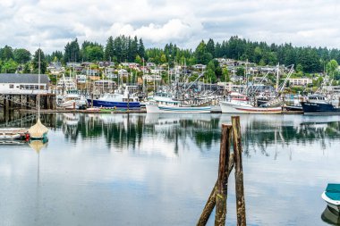 Gig Limanı, Washington 'da balıkçı tekneleri.