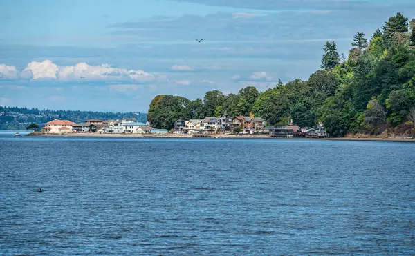 Ein Blick Auf Häuser Wasser Dash Point Washington — Stockfoto