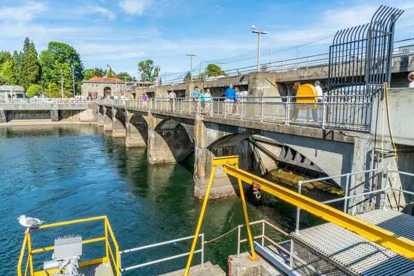 Ballard, Washington 'daki Ballard Locks' ta yürüyüş manzarası.