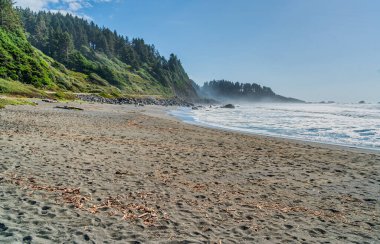 Kuzey Kaliforniya kıyısındaki 1010. Otoyol manzarası.