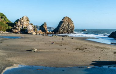 Brookings, Oregon 'daki Harris State Park manzaralı..