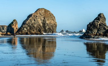 Brookings, Oregon 'daki Harris State Park plajında kaya oluşumları.