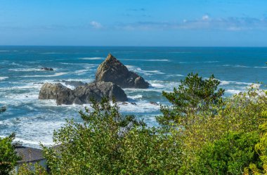 Brookings, Oregon 'daki bir evin ön bahçesinden deniz ve kaya oluşumlarının görüntüsü.