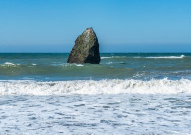 Oregon eyaletinin South Beach 'inde kıyıya yakın bir taş var..