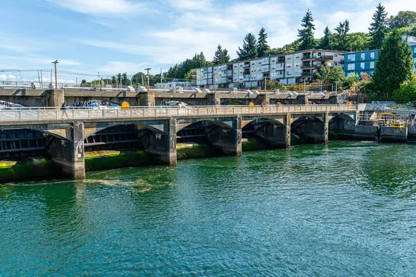 Ballard, Washington 'daki Ballard Locks' ta yürüyüş manzarası.