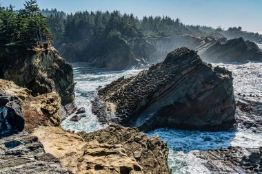 Oregon eyaletindeki Shore Acres Eyalet Parkı 'nda kaya oluşumları ve çarpışan dalgaların olduğu kıyı şeridi manzarası.