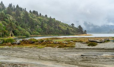 Kaliforniya 'daki Humboldt Lagoons Eyalet Parkı' ndaki lagünlerden birinin görüntüsü..