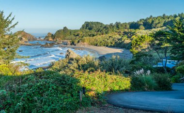 Brookings, Oregon 'daki Harris State Park manzaralı..