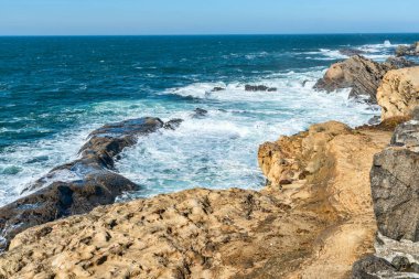 Oregon eyaletindeki Shore Acres Eyalet Parkı 'nda kaya oluşumları ve çarpışan dalgaların olduğu kıyı şeridi manzarası.