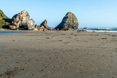 Brookings, Oregon 'daki Harris State Park manzaralı..