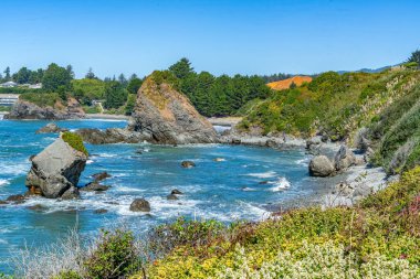Brookings, Oregon 'daki Chetco Point' in manzara fotoğrafı..
