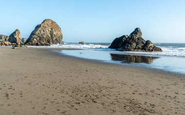 Brookings, Oregon 'daki Harris State Park manzaralı..