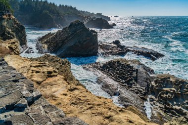 Oregon eyaletindeki Shore Acres Eyalet Parkı 'nda kaya oluşumları ve çarpışan dalgaların olduğu kıyı şeridi manzarası.