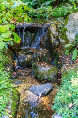 Washington 'daki Bellevue botanik bahçesinde küçük bir şelale manzarası.