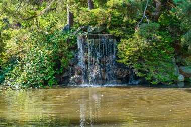 Tacoma, Washington 'daki Point Defiances Park' ta bir şelale manzarası.