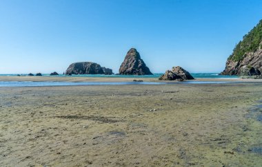 Brookings, Oregon yakınlarındaki Whaleshead Sahili 'ndeki kaya oluşumlarının görüntüsü..