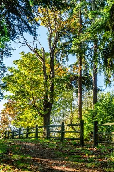 Des Moines, Washington 'daki Saltwater State Parkl' da bir çit ve sonbahar ağaçları manzarası.