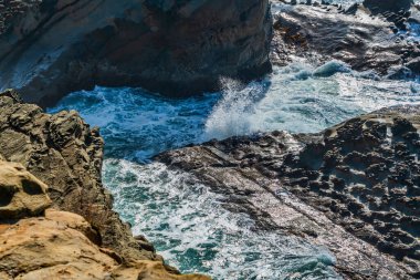 Oregon eyaletindeki Shore Acres Eyalet Parkı 'nda kaya oluşumları ve çarpışan dalgaların olduğu kıyı şeridi manzarası.