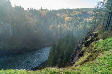 Washington 'daki Snoqualmie Falls' da sonbahar manzarasını gizleyen sis yükseliyor..