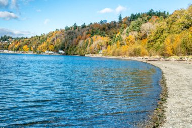 Burien, Washington 'daki Seahurst Plaj Parkı' nda sonbaharda kıyı şeridi manzarası.