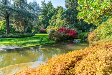 Seattle, Washington 'daki Kubota Gardens' ta bir gölet ve sonbahar manzarası.