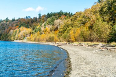 Burien, Washington 'daki Seahurst Plaj Parkı' nda sonbaharda kıyı şeridi manzarası.