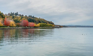 Ruston, Washington 'da sonbaharda rıhtım manzarası.