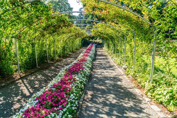 Tacoma, Washington 'daki Point Defiance Park' ta bir bahçe kordonu ve yürüyüş yolu..