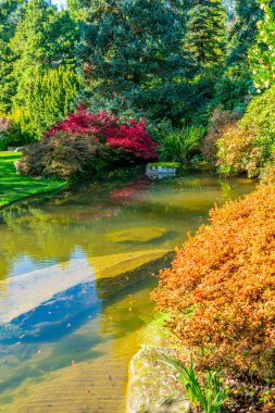 Seattle, Washington 'daki Kubota Gardens' ta bir gölet ve sonbahar manzarası.