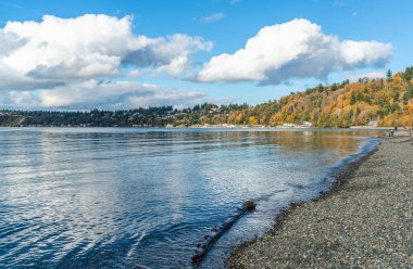 Burien, Washington 'daki Seahurst Plaj Parkı' nda sonbaharda kıyı şeridi manzarası.