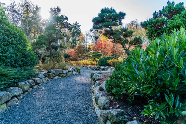 Seattle, Washington 'daki Kubota Gardens' da sonbahar renkleri.