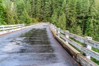 Washington 'daki Karbon Nehri' nin üzerinde bir brdige manzarası.