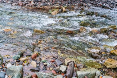 Washington 'daki Karbon Nehri' nin detaylı bir görüntüsü..