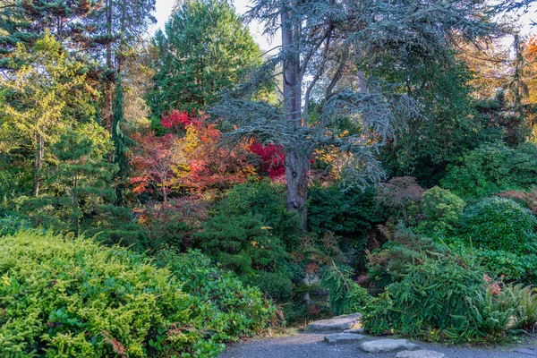Seattle, Washington 'daki Kuboat Gardens' ta sonbaharda ağaçlar.