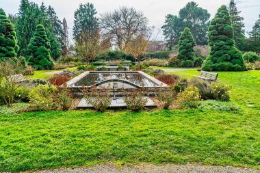 Seattle, Washington 'da bir bahçedeki gölet manzarası. Kış geldi..