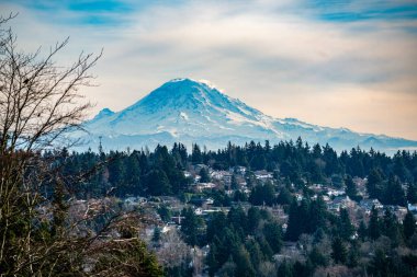 Burien 'den Rainier Dağı manzaralı ve ön planda evleri olan.