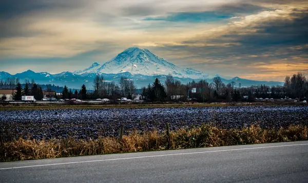 Kent, Washington 'dan Rainier Dağı manzarası.