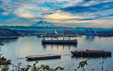 Rainier Dağı ve Tacoma Limanı manzarası.