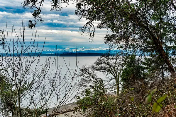 Puget Sound 'un karşısındaki olimpik dağ sırasının manzarası..