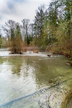 Washington 'daki Green River manzarası. Eğer kış geldiyse.