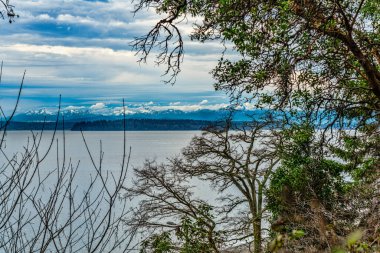 Puget Sound 'un karşısındaki olimpik dağ sırasının manzarası..