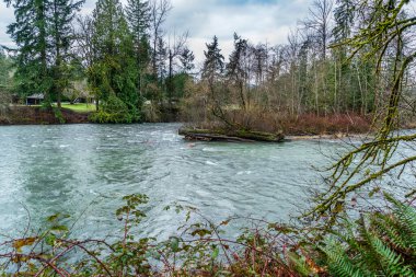 Washington 'daki Green River manzarası. Eğer kış geldiyse.