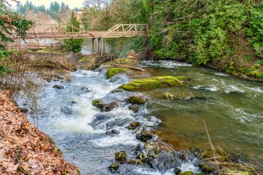 Washington 'da Deschutes Nehri' ni zapt eden tahta bir köprü manzarası.
