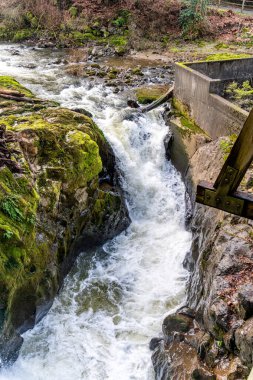 Washington, Tumwater 'daki Deschutes Nehri üzerindeki beyaz su manzarası.