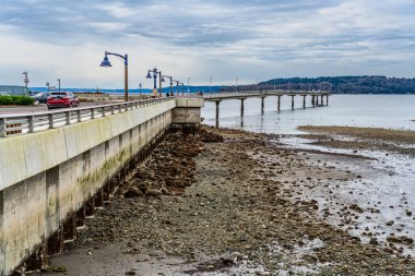Des Moines, Washington 'da gelgit düşük. Duvar ve rıhtım manzarası.