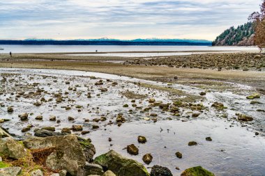 Puget Sound ve Des Moines, Washington 'daki dağlarla kayalık bir kıyı şeridi manzarası..