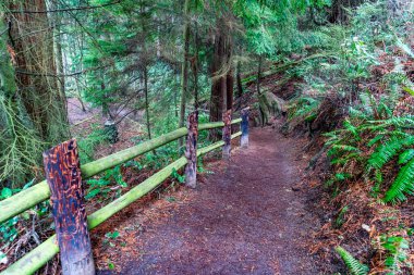 Washington 'daki Aldatma Parkı' nda bir patika..
