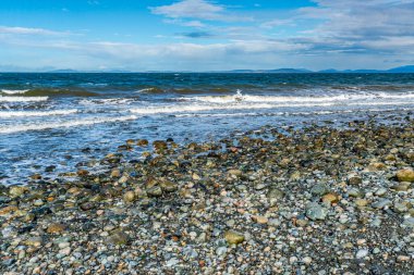 Oake Harbor, Washington 'da okyanus manzarası.