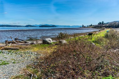 A view of mud flats with ocean water and mountains in the distance. Photo taken near Anacortes, Washington. clipart