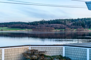 Oak Harbor, Washington 'daki bir göletin kıyısında evler..
